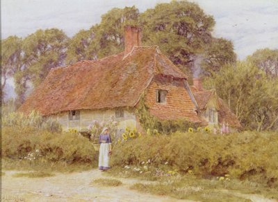 Sunflowers by Helen Allingham